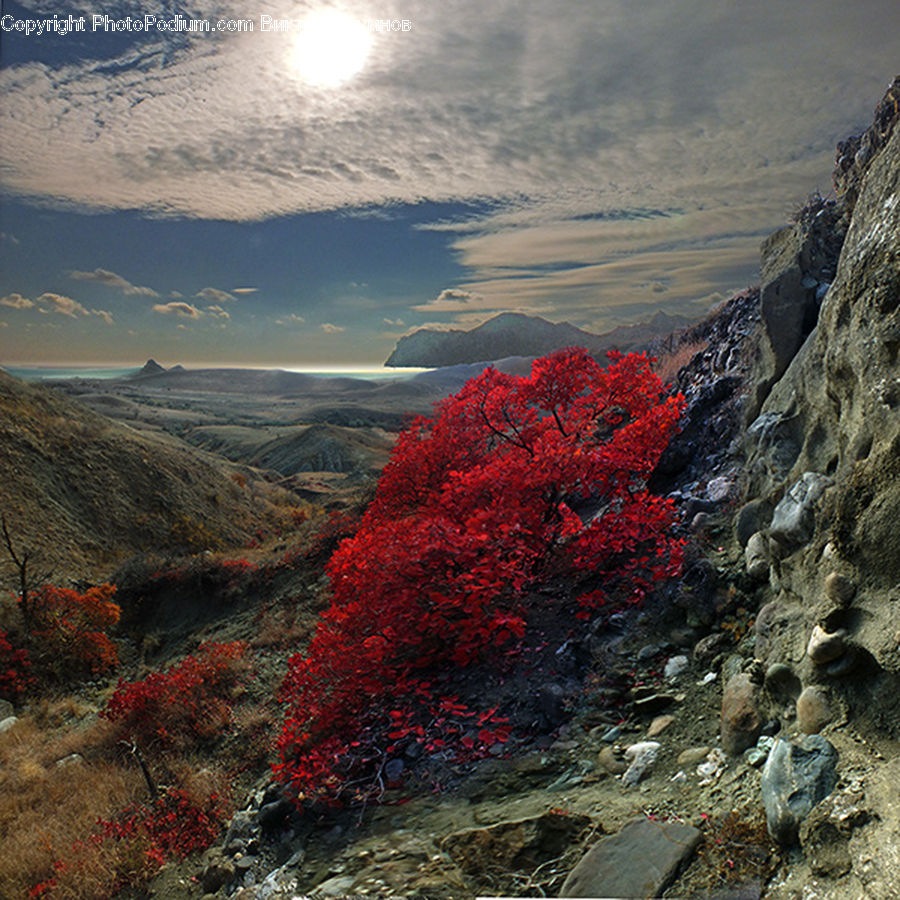 Landscape, Nature, Scenery, Moss, Plant, Canyon, Outdoors