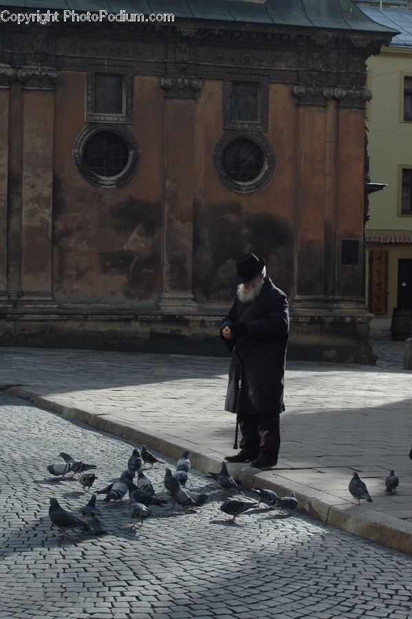 People, Person, Human, Bird, Pigeon, Architecture, Bell Tower
