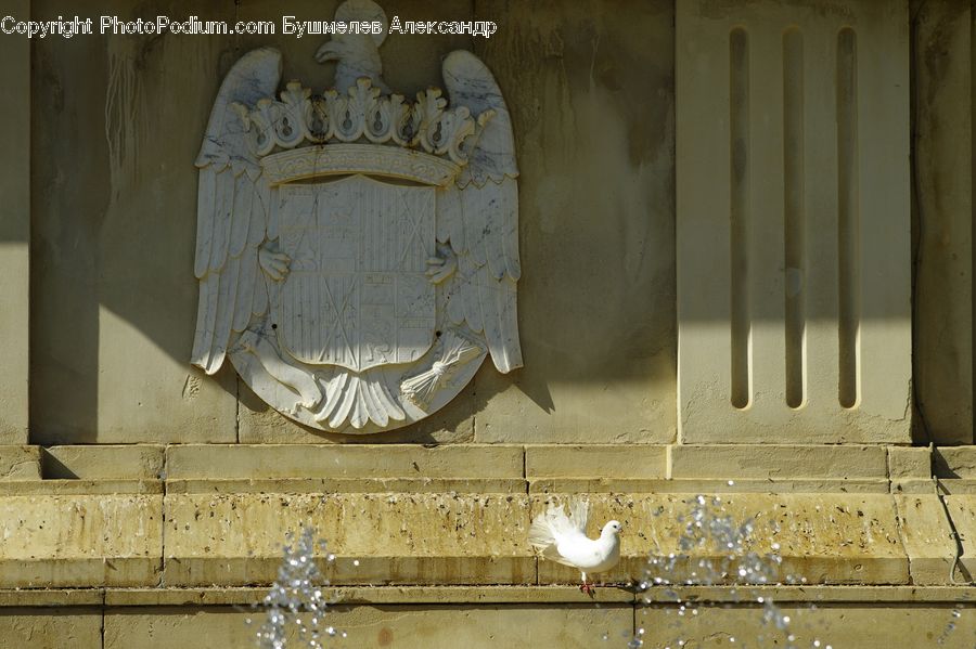 Bird, Pigeon, Dove, Seagull, Architecture, Bell Tower, Clock Tower