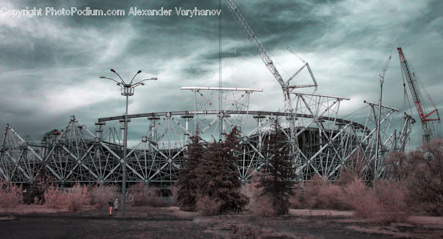 Cable, Electric Transmission Tower, Power Lines, Bush, Plant, Vegetation, Tree