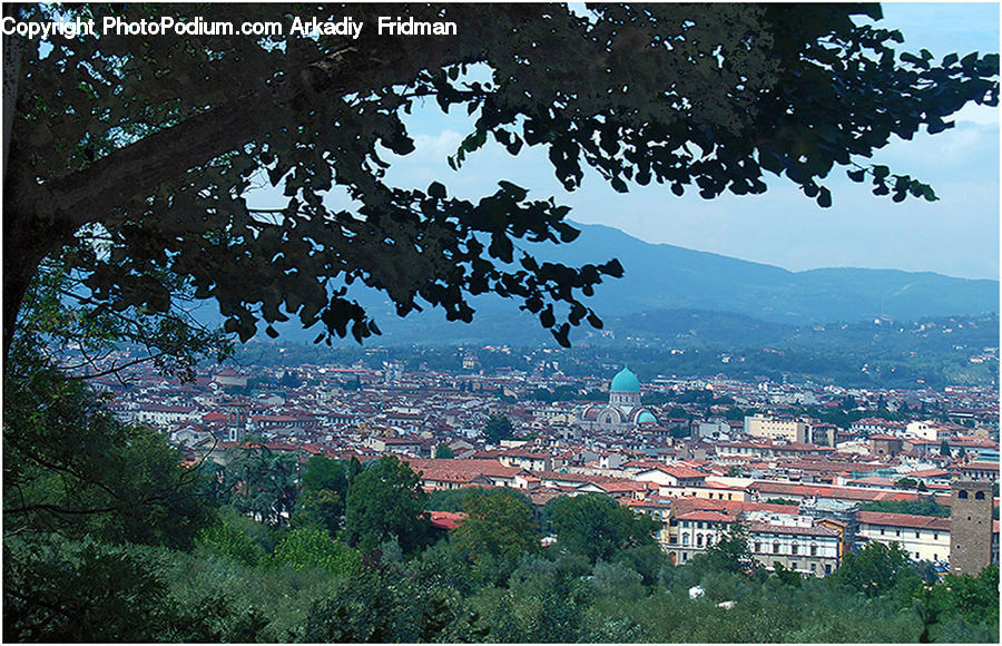 Landscape, Nature, Scenery, Building, Downtown, Town, City