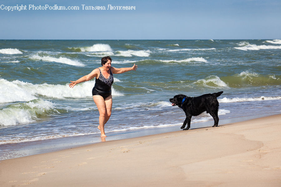 People, Person, Human, Beach, Coast, Outdoors, Sea