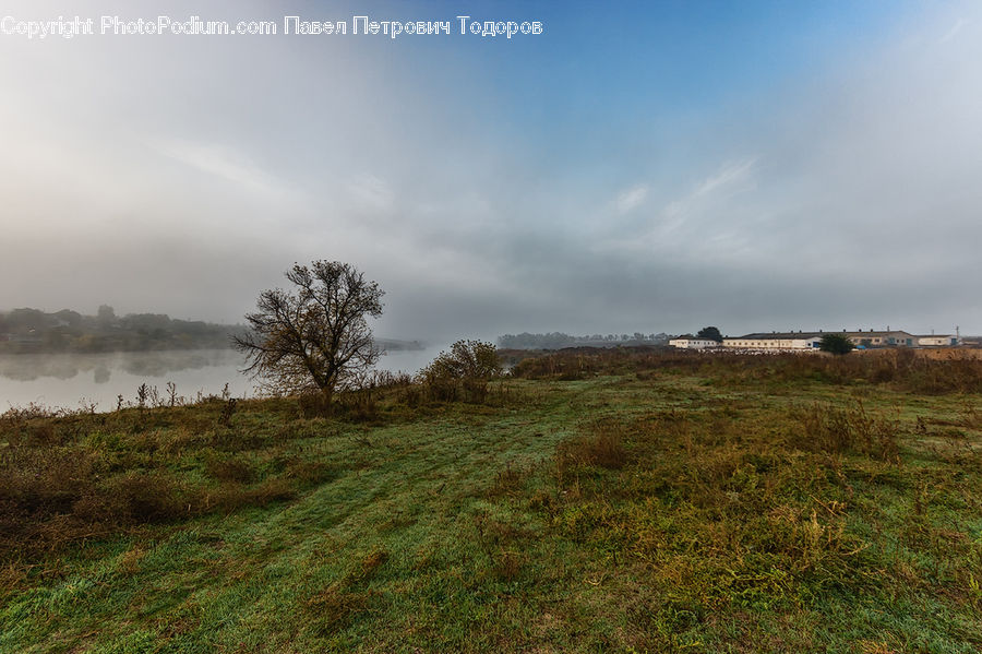 Field, Grass, Grassland, Land, Outdoors, Plant, Plateau