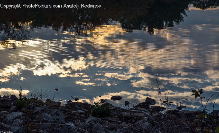 Outdoors, Ripple, Water, Rubble, Land, Marsh, Pond