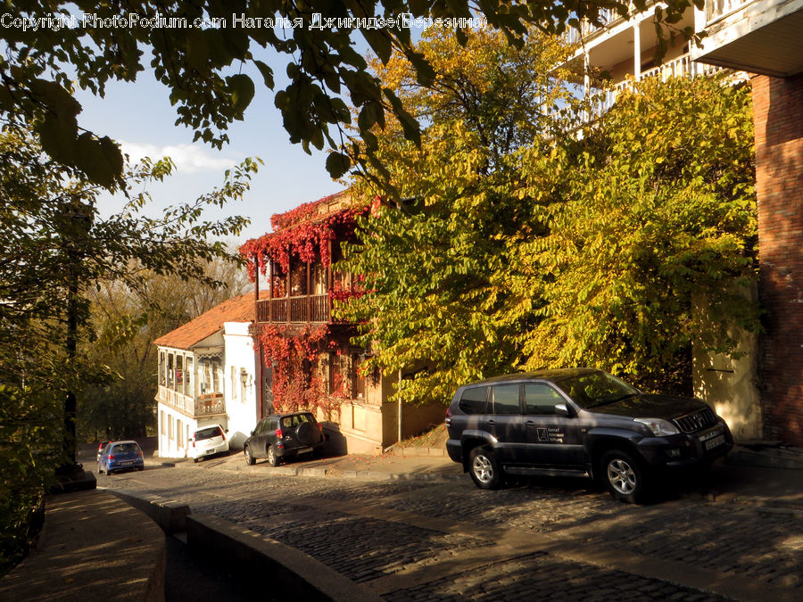 Car, Suv, Vehicle, Boardwalk, Path, Pavement, Sidewalk