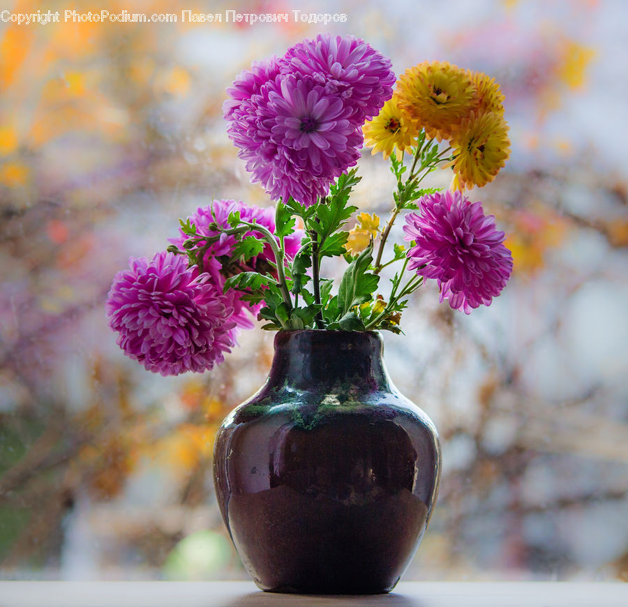 Pot, Pottery, Floral Design, Flower, Flower Arrangement, Flower Bouquet, Ikebana