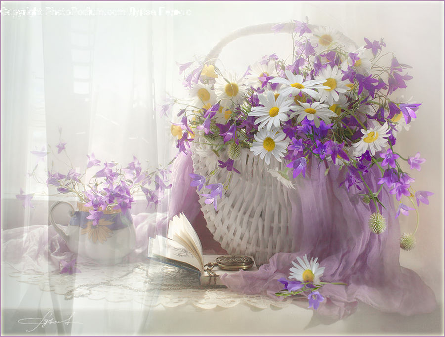 Flower, Flower Arrangement, Flower Bouquet, Cosmos, Floral Design, Ikebana, Blossom