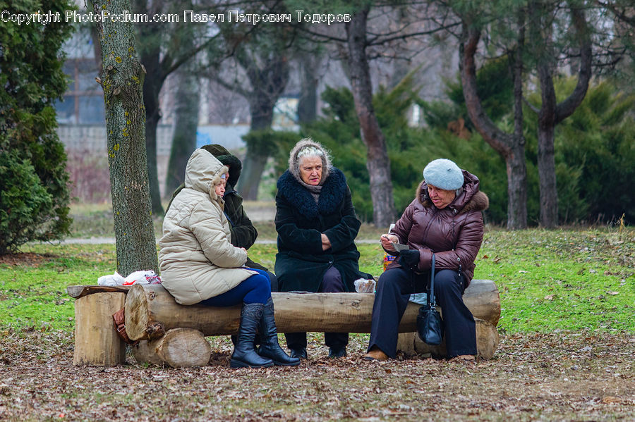 Human, People, Person, Park Bench, Bench, Outdoors, Soil