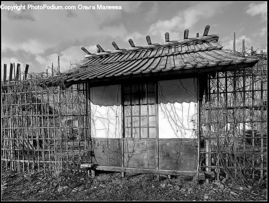 Cabin, Hut, Rural, Shack, Shelter