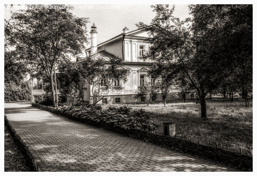 Building, Housing, Villa, Downtown, Neighborhood, Town, Cottage