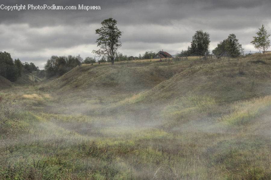 Grassland, Mound, Field, Grass, Land, Outdoors, Plant