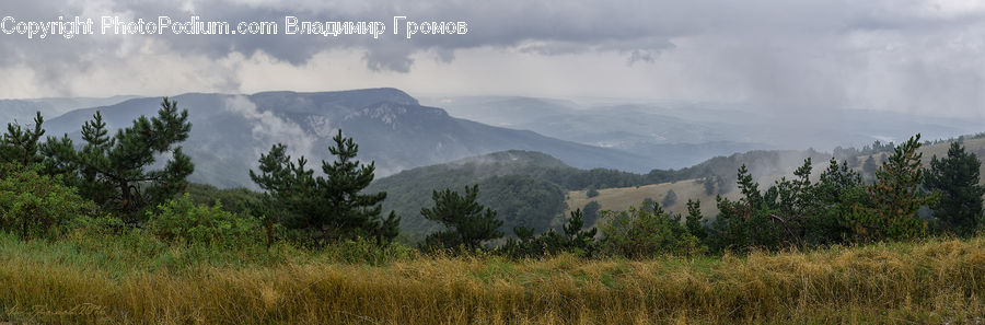 Field, Grass, Grassland, Land, Outdoors, Mountain, Mountain Range