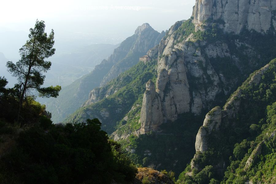 Cliff, Outdoors, Conifer, Fir, Pine, Plant, Spruce