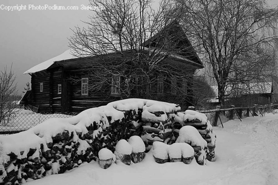 Ice, Outdoors, Snow, Building, Cottage, Housing, Agaric