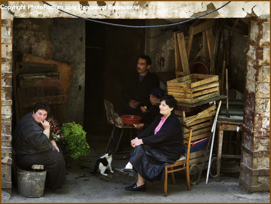 People, Person, Human, Plant, Potted Plant, Pot, Pottery