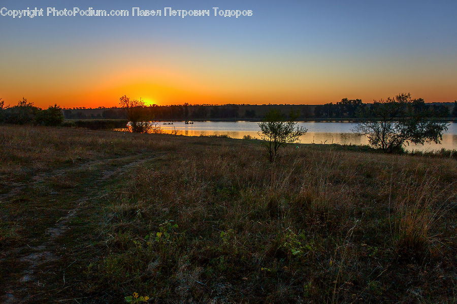 Field, Grass, Grassland, Land, Outdoors, Dawn, Dusk