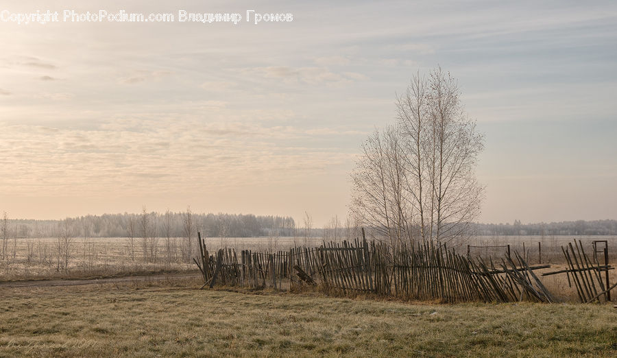 Field, Grass, Grassland, Land, Outdoors, Plant, Landscape