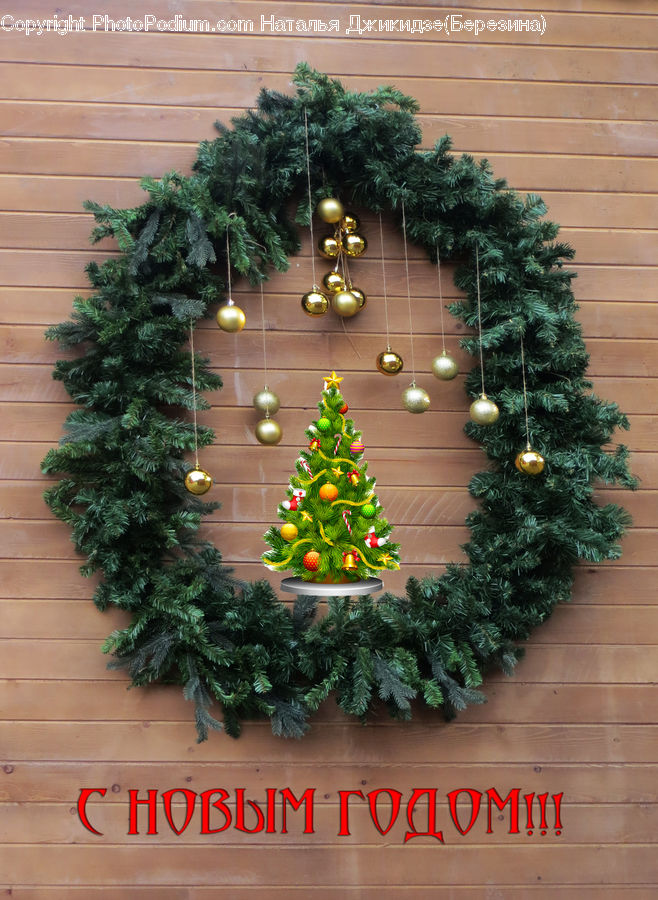 Wreath, Bonsai, Plant, Potted Plant, Tree, Conifer, Fir