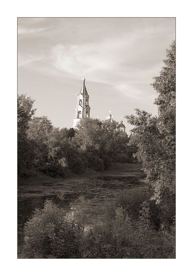 Collage, Poster, Architecture, Spire, Steeple, Tower, Bush