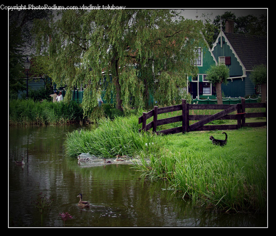 Bench, Building, Cottage, Housing, Outdoors, Pond, Water