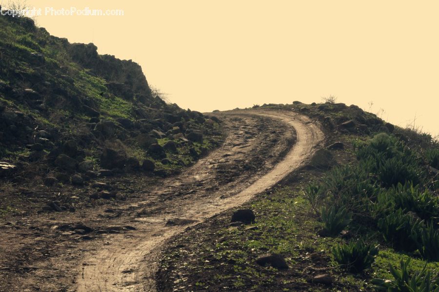 Dirt Road, Gravel, Road, Plant, Vegetation, Forest, Jungle