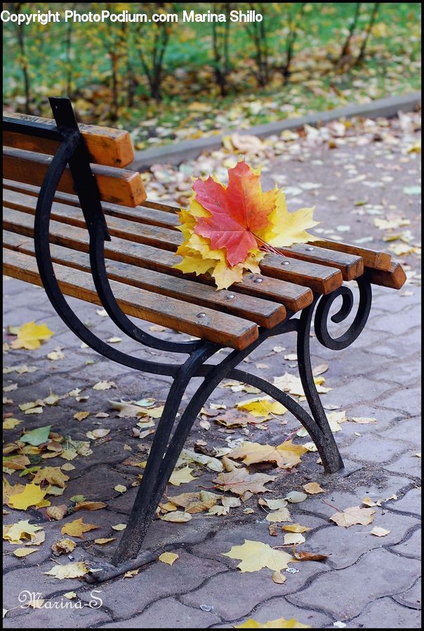 Park Bench, Bench