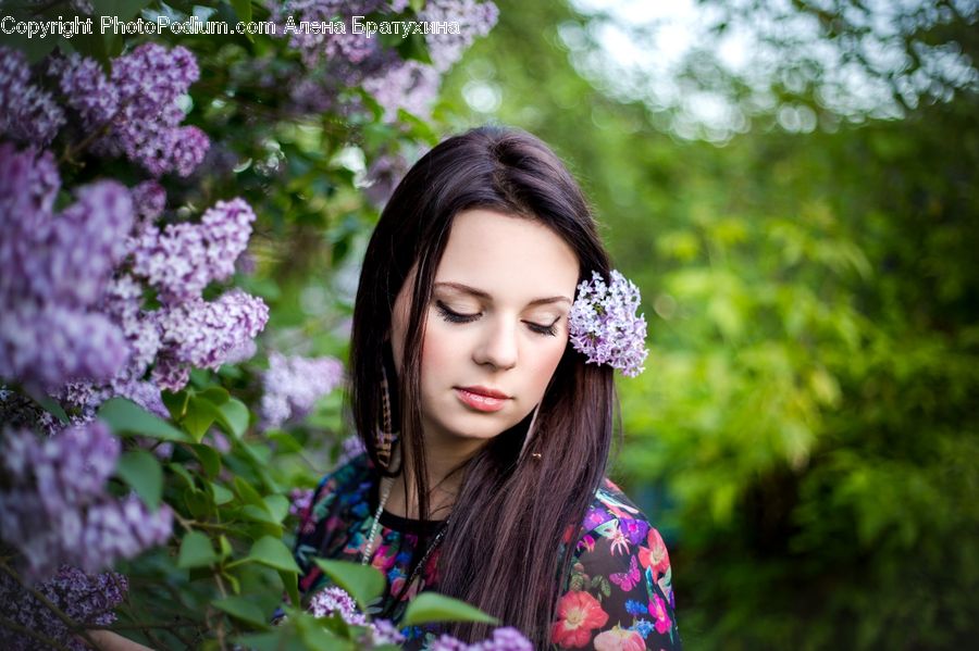 Human, People, Person, Blossom, Flower, Lilac, Plant
