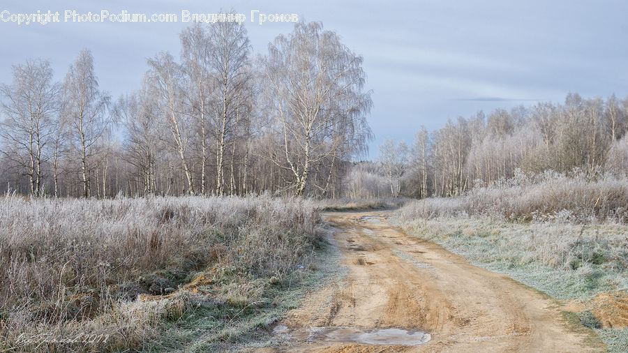 Frost, Ice, Outdoors, Snow, Dirt Road, Gravel, Road