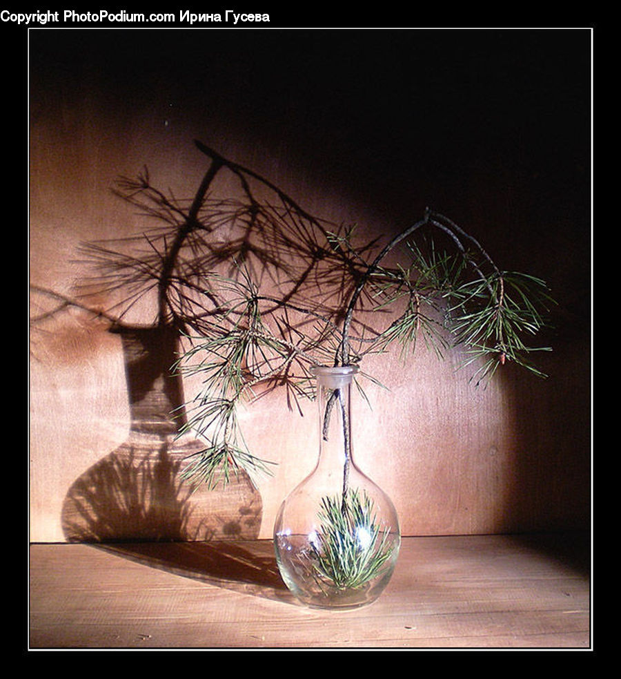 Flower Arrangement, Ikebana, Plant, Potted Plant, Vase