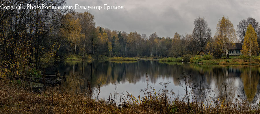 Outdoors, Pond, Water, Lake, Building, Cottage, Housing