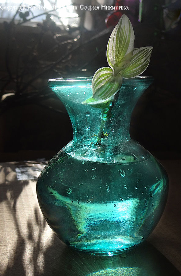 Glass, Goblet, Jar, Porcelain, Vase, Plant, Potted Plant