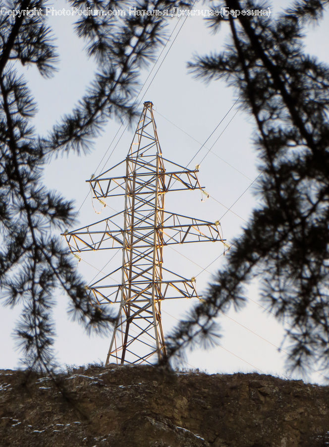 Cable, Electric Transmission Tower, Power Lines, Conifer, Fir, Plant, Tree