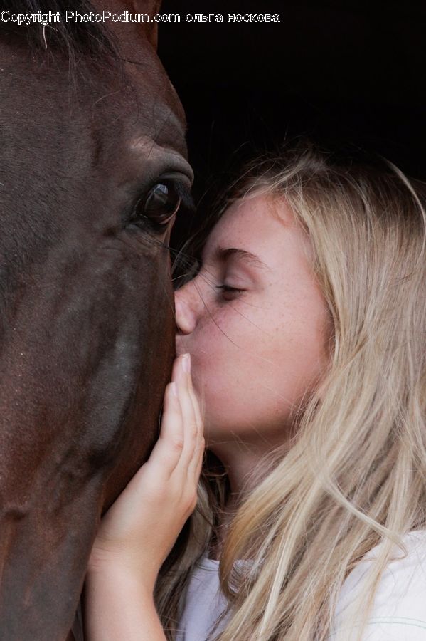 People, Person, Human, Hug, Kiss, Animal, Colt Horse