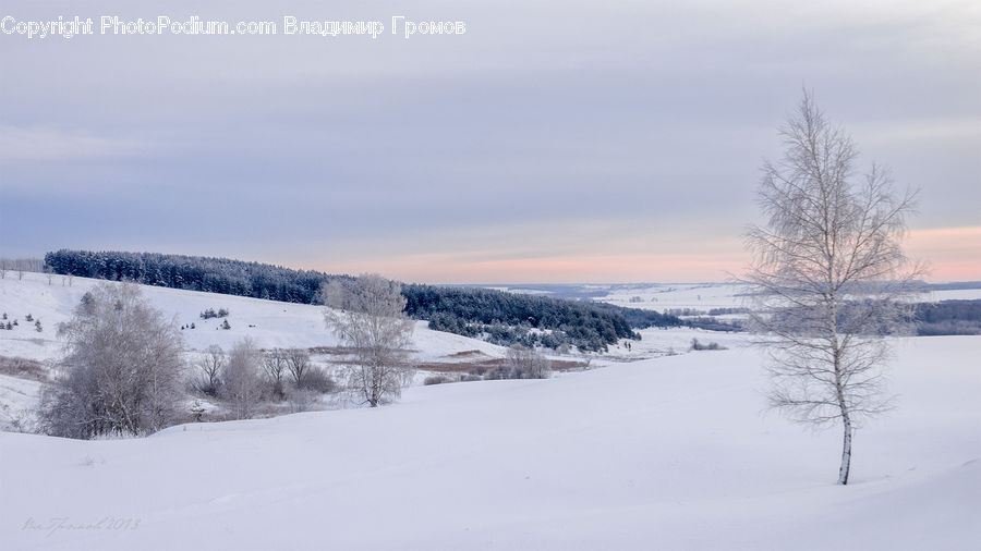 Arctic, Snow, Winter, Outdoors, Plateau, Landscape, Nature