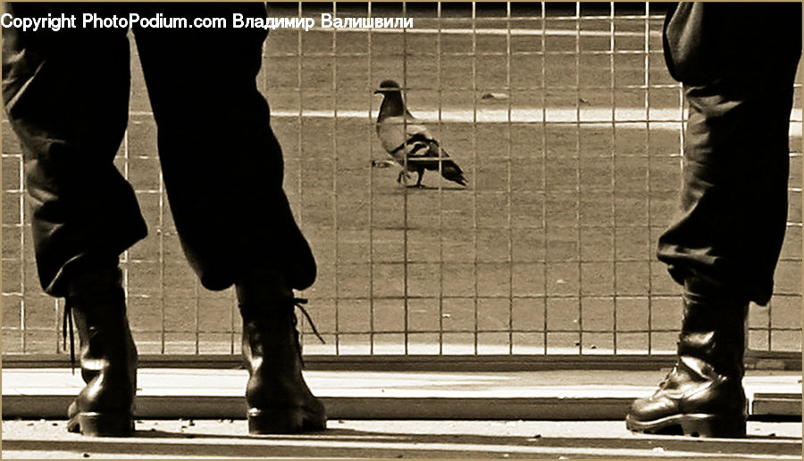Human, People, Person, Boot, Shoe, Cowboy Boot, Footwear