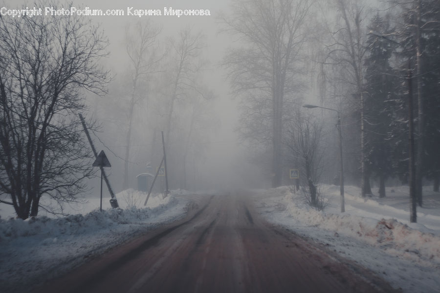 Fog, Road, Landscape, Nature, Scenery