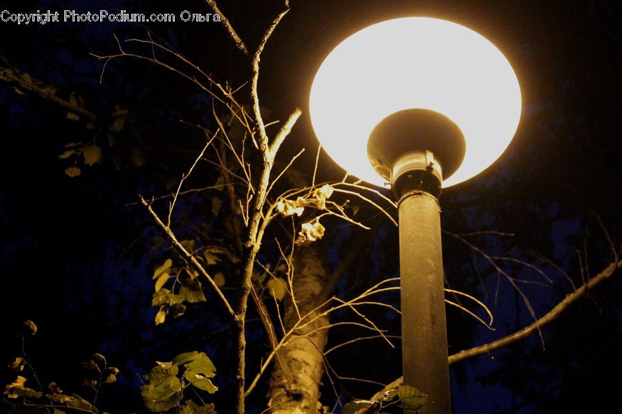 Lamp Post, Pole, Light, Field, Grass, Grassland, Plant