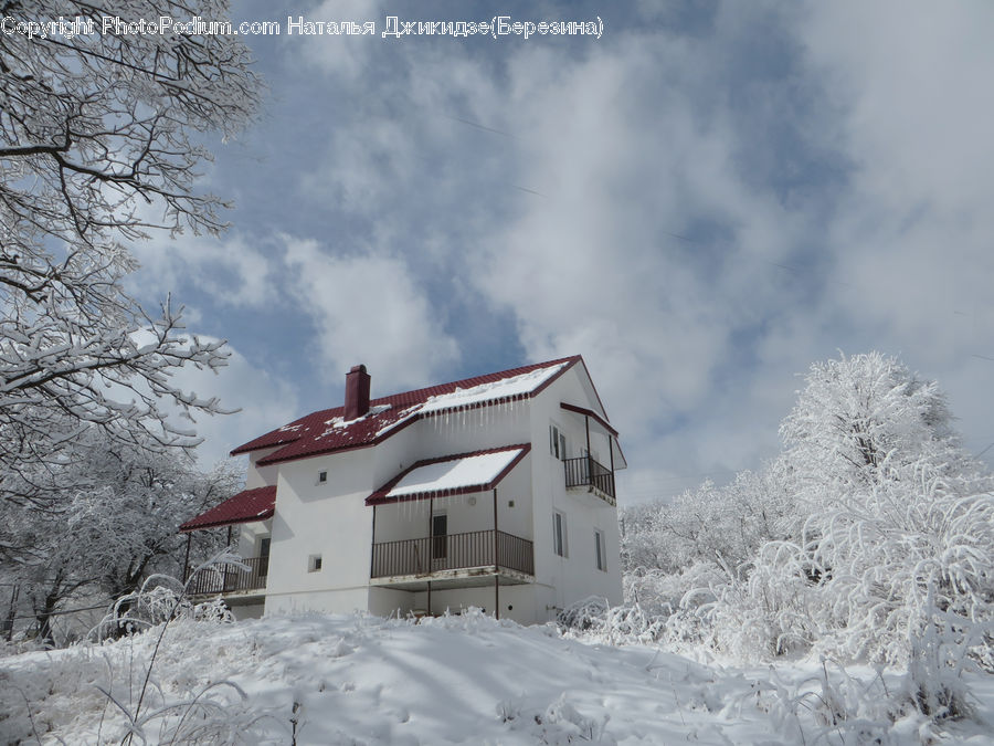 Building, Cottage, Housing, Cabin, Hut, Rural, Shack