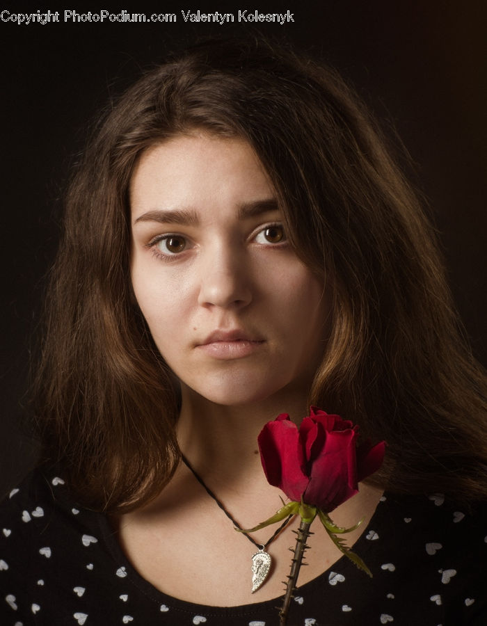 Human, People, Person, Blossom, Flower, Plant, Rose