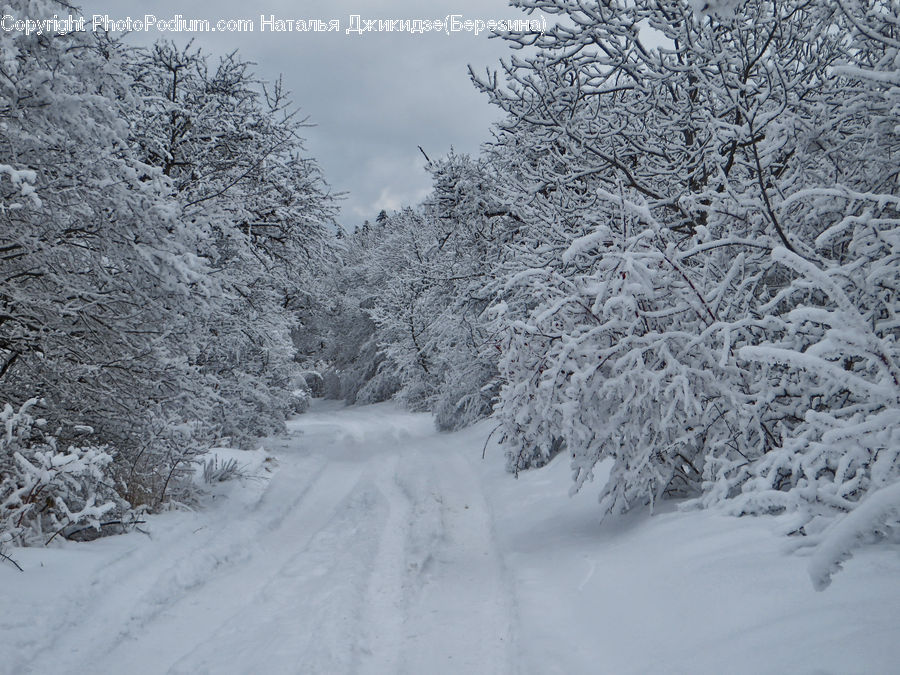 Blizzard, Outdoors, Snow, Weather, Winter, Landscape, Nature