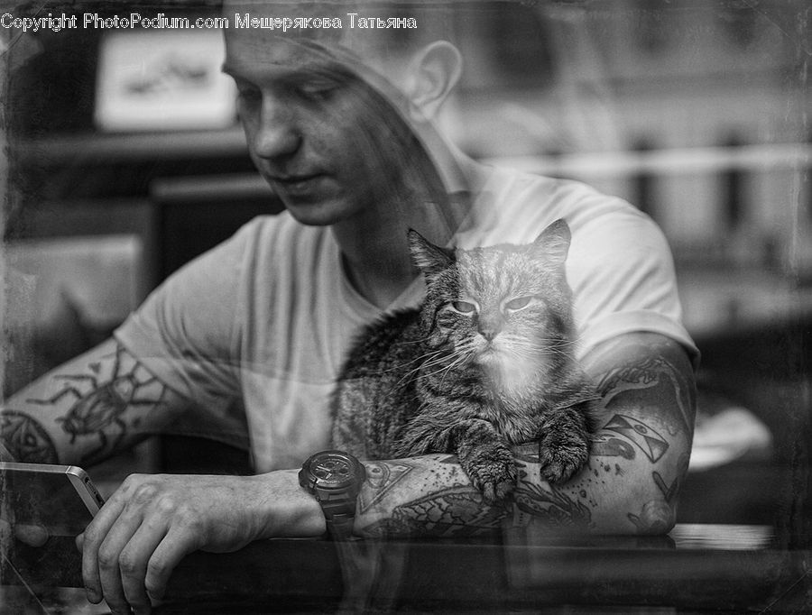People, Person, Tattoo, Human, Portrait, Bench