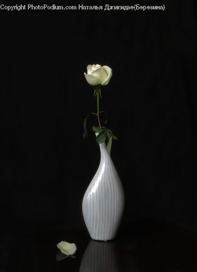 Jar, Porcelain, Vase, Garlic, Plant, Flower Arrangement, Ikebana