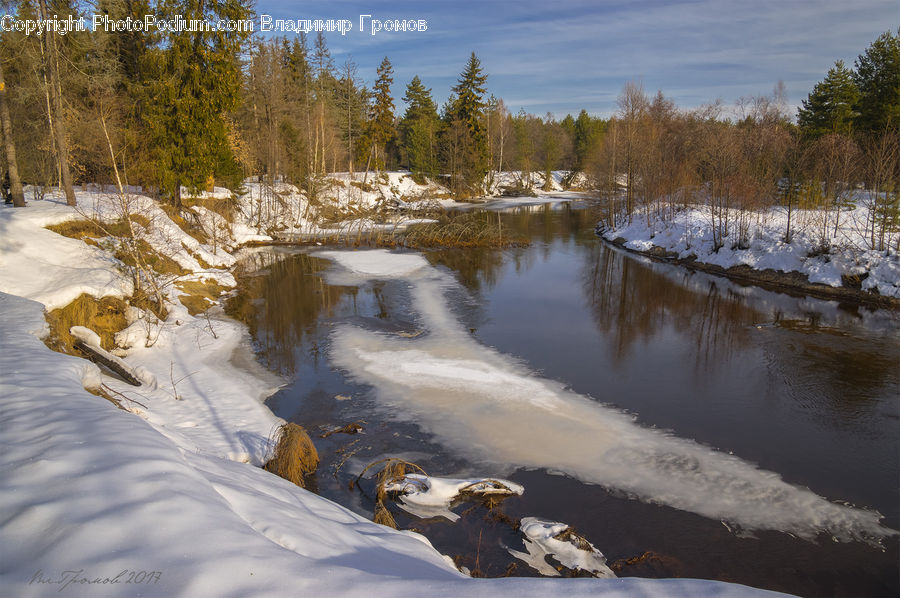 Creek, Outdoors, River, Water, Grass, Plant, Reed