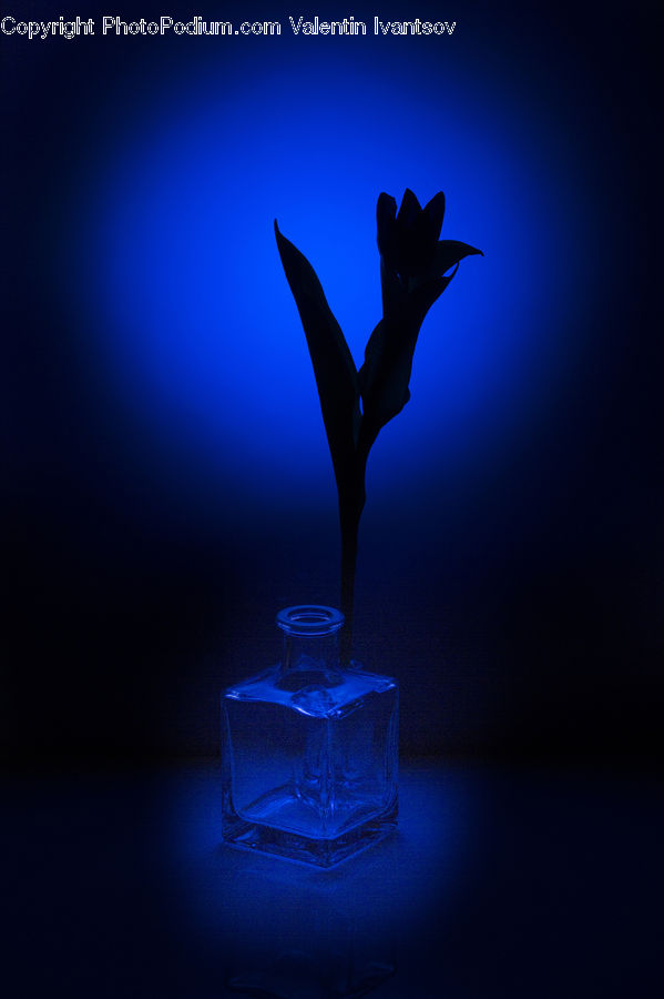 Aftershave, Perfume, Silhouette, Glass, Goblet, Beverage, Drink