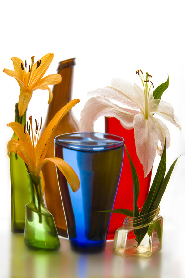 Flora, Flower, Lily, Plant, Jar, Porcelain, Vase