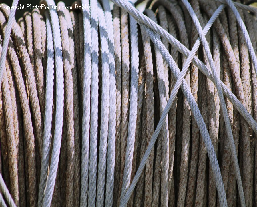 Wire, Field, Grass, Grassland, Plant