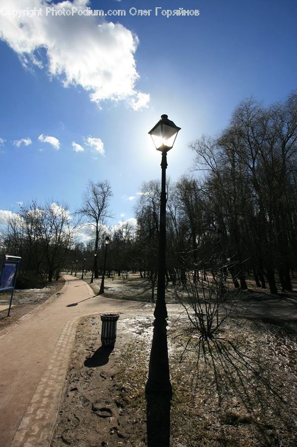 Lamp Post, Pole, Dirt Road, Gravel, Road, Plant, Tree