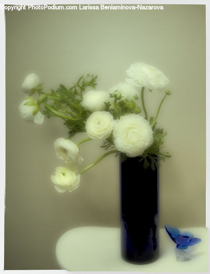 Plant, Potted Plant, Blossom, Flower, Peony, Flower Arrangement, Ikebana