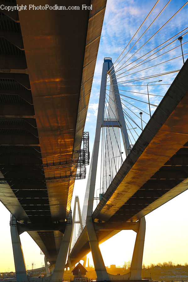 Freeway, Overpass, Bridge, Building, City, Downtown, Metropolis