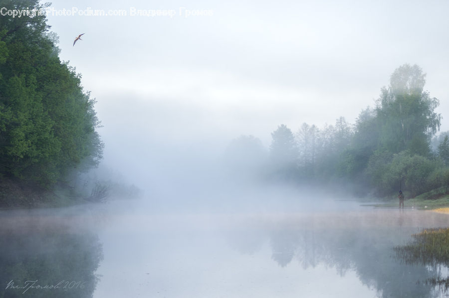 Fog, Mist, Outdoors